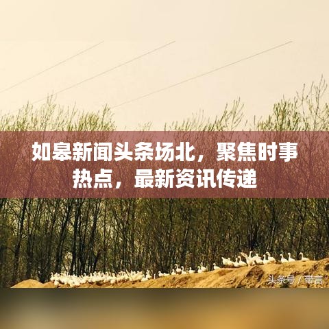 如皋新聞?lì)^條場(chǎng)北，聚焦時(shí)事熱點(diǎn)，最新資訊傳遞