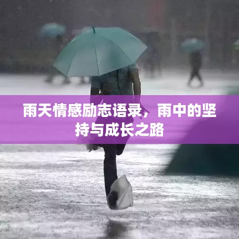 2025年5月12日 第15頁(yè)
