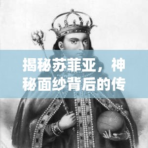 揭秘蘇菲亞，神秘面紗背后的傳奇故事探尋