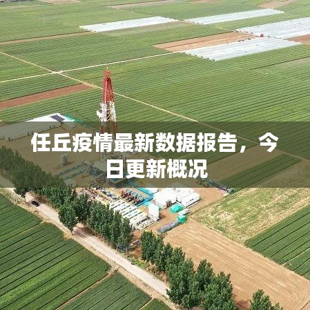 2025年5月12日 第11頁