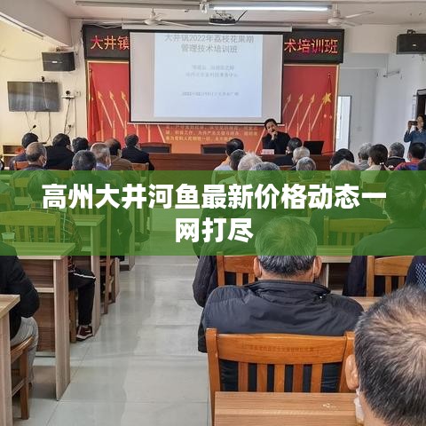 高州大井河魚最新價(jià)格動(dòng)態(tài)一網(wǎng)打盡