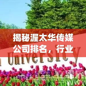 揭秘渥太華傳媒公司排名，行業(yè)領軍者的成功秘訣