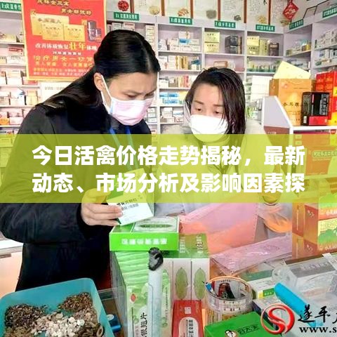 今日活禽價格走勢揭秘，最新動態(tài)、市場分析及影響因素探討