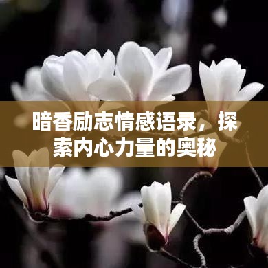 暗香勵志情感語錄，探索內(nèi)心力量的奧秘