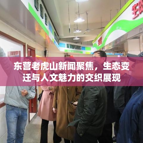 東營老虎山新聞聚焦，生態(tài)變遷與人文魅力的交織展現(xiàn)