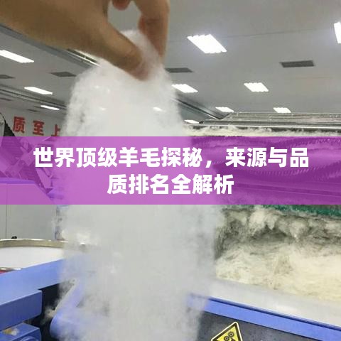 世界頂級(jí)羊毛探秘，來(lái)源與品質(zhì)排名全解析