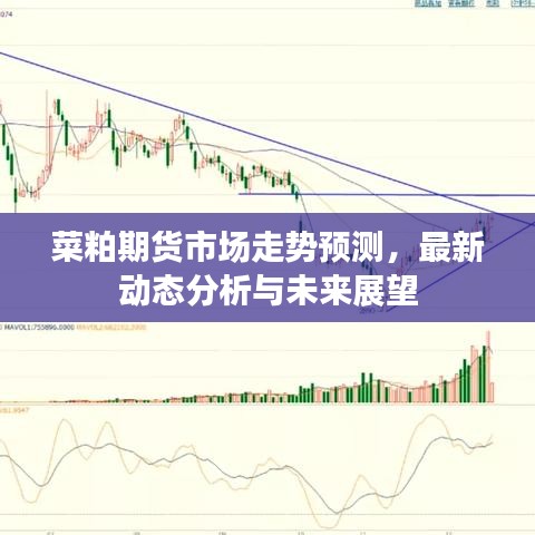 菜粕期貨市場(chǎng)走勢(shì)預(yù)測(cè)，最新動(dòng)態(tài)分析與未來展望