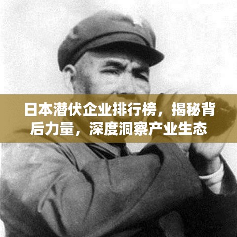 日本潛伏企業(yè)排行榜，揭秘背后力量，深度洞察產(chǎn)業(yè)生態(tài)