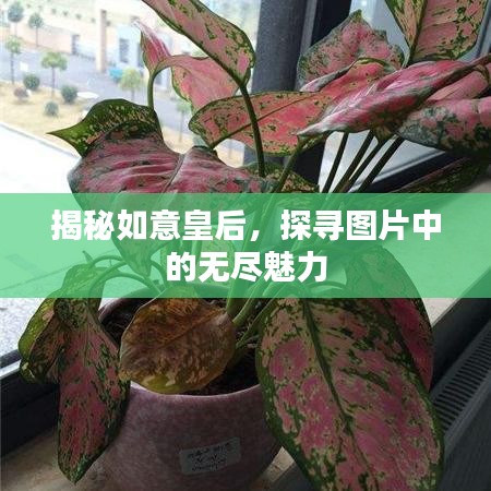 揭秘如意皇后，探尋圖片中的無盡魅力