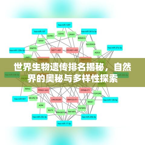 世界生物遺傳排名揭秘，自然界的奧秘與多樣性探索