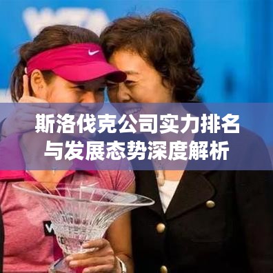 斯洛伐克公司實力排名與發(fā)展態(tài)勢深度解析