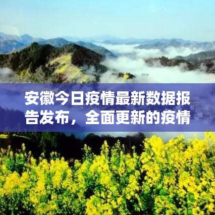 安徽今日疫情最新數據報告發(fā)布，全面更新的疫情動態(tài)分析