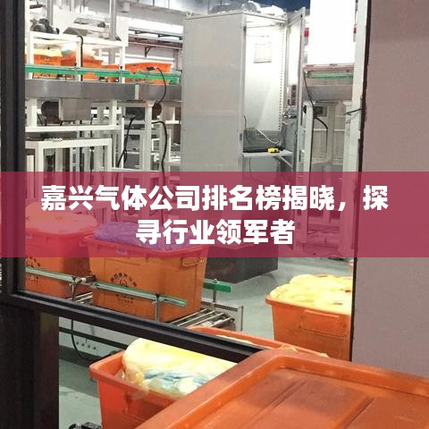 嘉興氣體公司排名榜揭曉，探尋行業(yè)領(lǐng)軍者