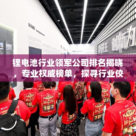 鋰電池行業(yè)領(lǐng)軍公司排名揭曉，專業(yè)權(quán)威榜單，探尋行業(yè)佼佼者