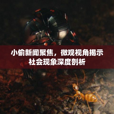 小偷新聞聚焦，微觀視角揭示社會(huì)現(xiàn)象深度剖析