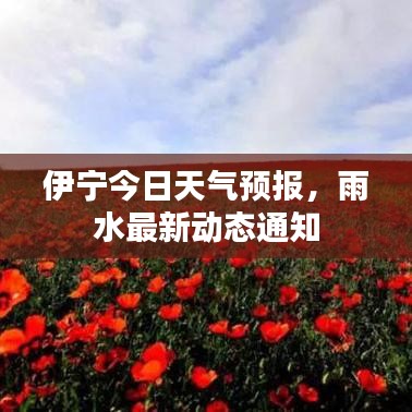 伊寧今日天氣預(yù)報，雨水最新動態(tài)通知