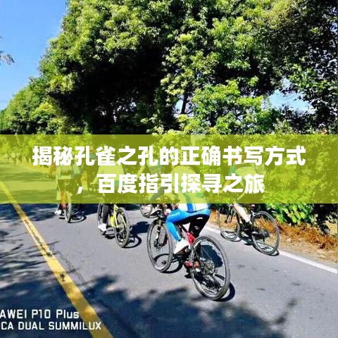 揭秘孔雀之孔的正確書(shū)寫(xiě)方式，百度指引探尋之旅