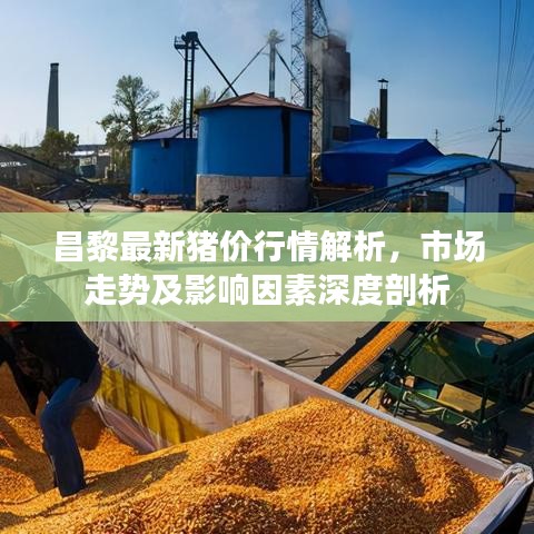 昌黎最新豬價行情解析，市場走勢及影響因素深度剖析