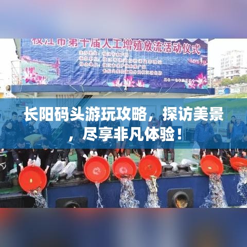 長陽碼頭游玩攻略，探訪美景，盡享非凡體驗！