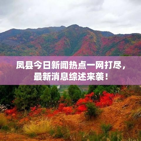 鳳縣今日新聞熱點一網(wǎng)打盡，最新消息綜述來襲！