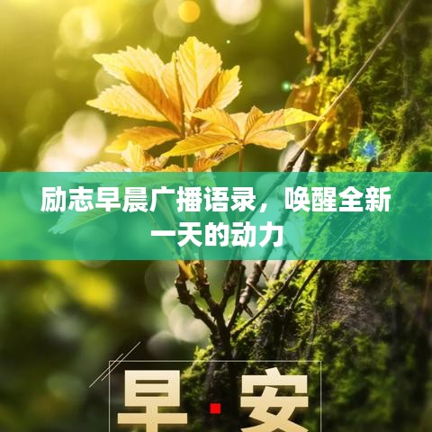 勵志早晨廣播語錄，喚醒全新一天的動力