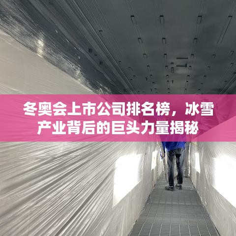 冬奧會(huì)上市公司排名榜，冰雪產(chǎn)業(yè)背后的巨頭力量揭秘