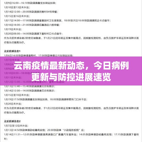 云南疫情最新動態(tài)，今日病例更新與防控進展速覽
