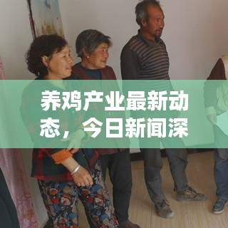 養(yǎng)雞產(chǎn)業(yè)最新動態(tài)，今日新聞深度解析