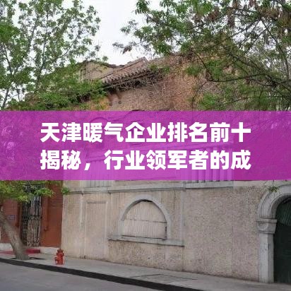 天津暖氣企業(yè)排名前十揭秘，行業(yè)領(lǐng)軍者的成功奧秘探索