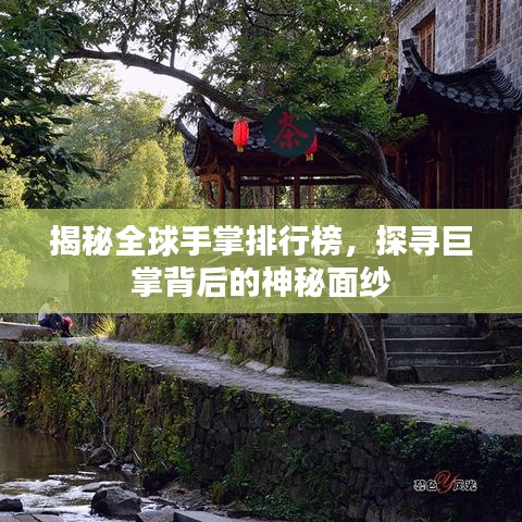 揭秘全球手掌排行榜，探尋巨掌背后的神秘面紗
