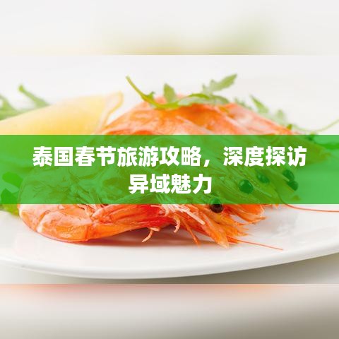 2025年5月16日 第2頁