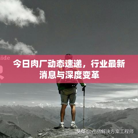 今日肉廠動(dòng)態(tài)速遞，行業(yè)最新消息與深度變革
