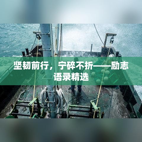 堅(jiān)韌前行，寧碎不折——?jiǎng)?lì)志語錄精選