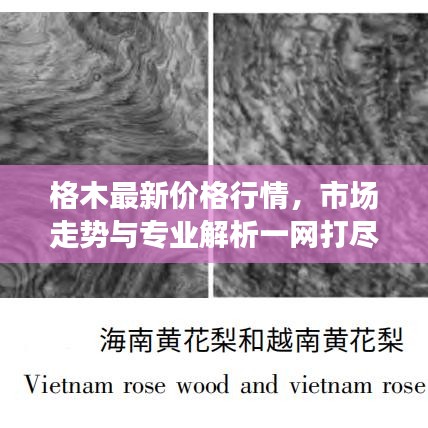 格木最新價(jià)格行情，市場(chǎng)走勢(shì)與專業(yè)解析一網(wǎng)打盡