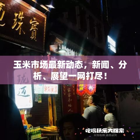 玉米市場最新動態(tài)，新聞、分析、展望一網(wǎng)打盡！