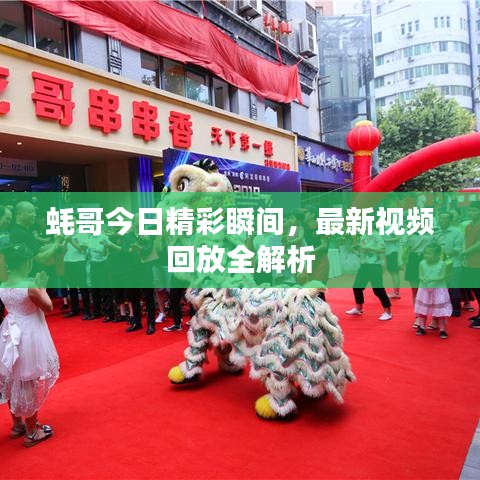 蠔哥今日精彩瞬間，最新視頻回放全解析