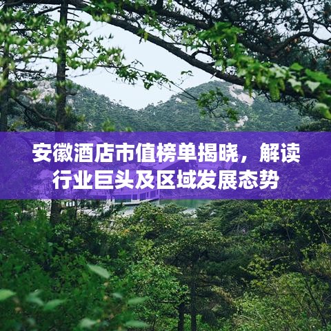 安徽酒店市值榜單揭曉，解讀行業(yè)巨頭及區(qū)域發(fā)展態(tài)勢