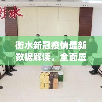 衡水新冠疫情最新數(shù)據(jù)解讀，全面應對與策略分享