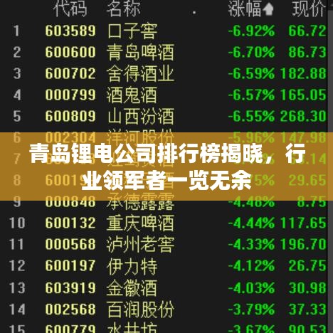 青島鋰電公司排行榜揭曉，行業(yè)領(lǐng)軍者一覽無(wú)余