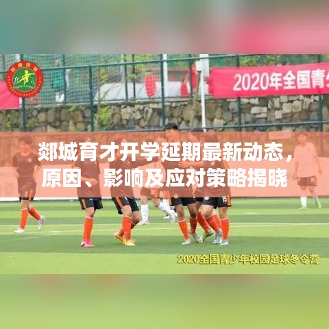 郯城育才開學(xué)延期最新動(dòng)態(tài)，原因、影響及應(yīng)對(duì)策略揭曉