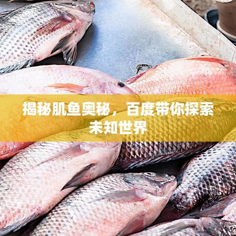 揭秘肌魚奧秘，百度帶你探索未知世界