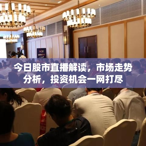 今日股市直播解讀，市場(chǎng)走勢(shì)分析，投資機(jī)會(huì)一網(wǎng)打盡