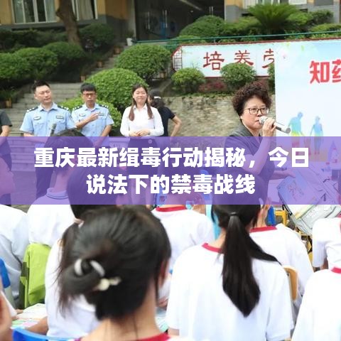 重慶最新緝毒行動揭秘，今日說法下的禁毒戰(zhàn)線