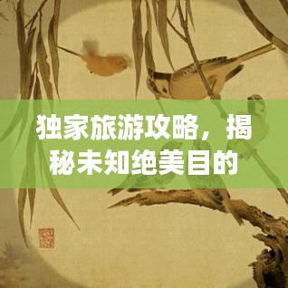 獨(dú)家旅游攻略，揭秘未知絕美目的地，帶你開(kāi)啟奇妙探險(xiǎn)之旅！