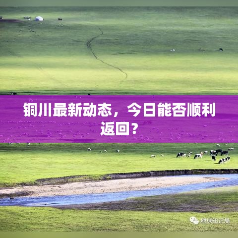 2025年5月20日 第40頁