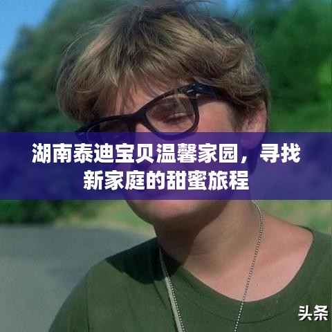 湖南泰迪寶貝溫馨家園，尋找新家庭的甜蜜旅程