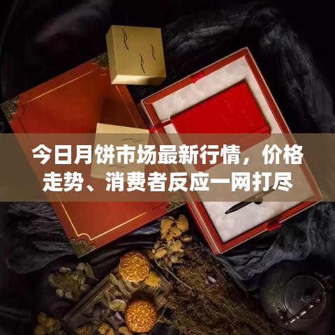 今日月餅市場最新行情，價格走勢、消費者反應(yīng)一網(wǎng)打盡