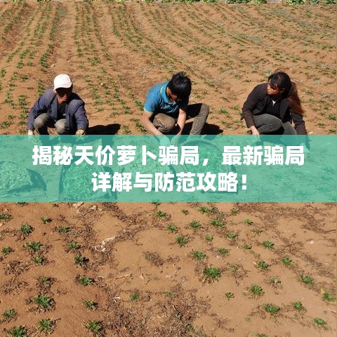 揭秘天價(jià)蘿卜騙局，最新騙局詳解與防范攻略！