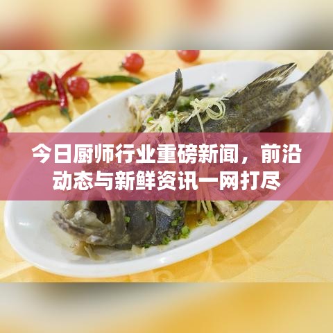 今日廚師行業(yè)重磅新聞，前沿動態(tài)與新鮮資訊一網(wǎng)打盡