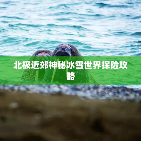 北極近郊神秘冰雪世界探險(xiǎn)攻略